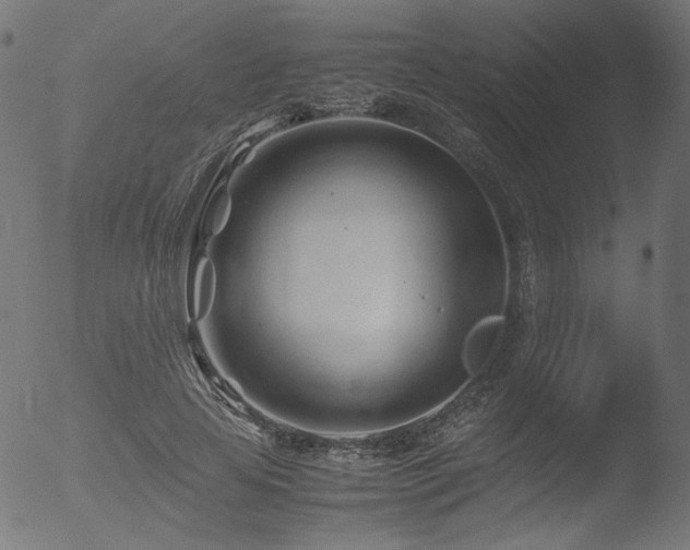 X0000053090641200507111158