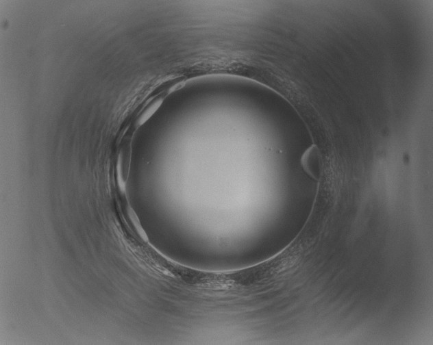 X0000053090642200507111158