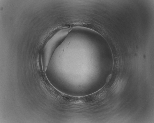 X0000053090643200507111158