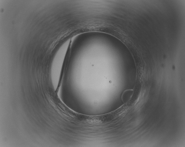 X0000053090644200507111158