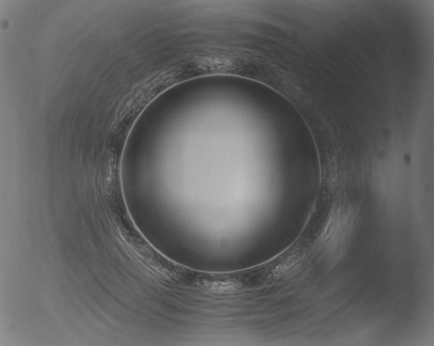 X0000053090645200507111158