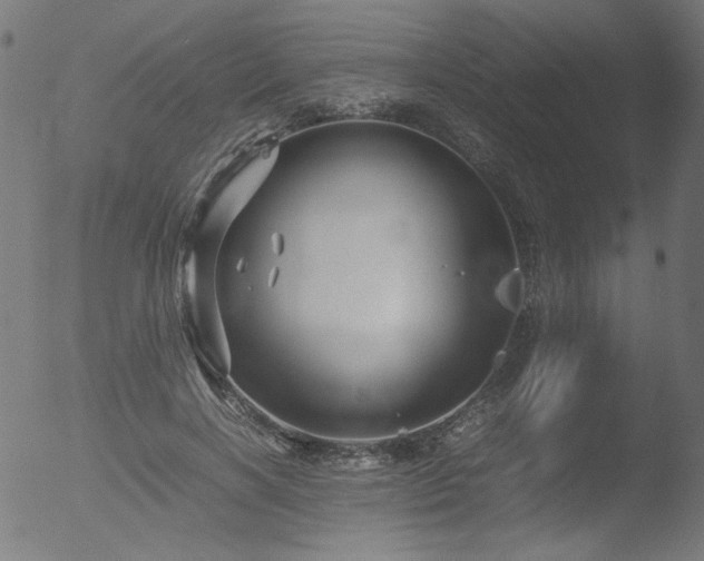 X0000053090646200507111158