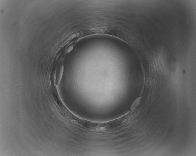 X0000053090647200507111158