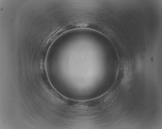 X0000053090648200507111158