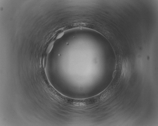 X0000053090649200507111158