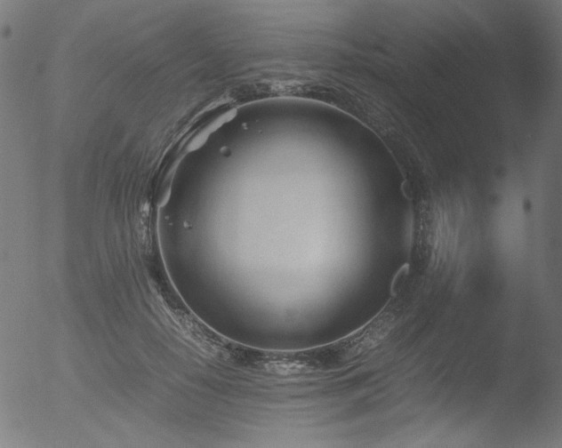 X0000053090650200507111158