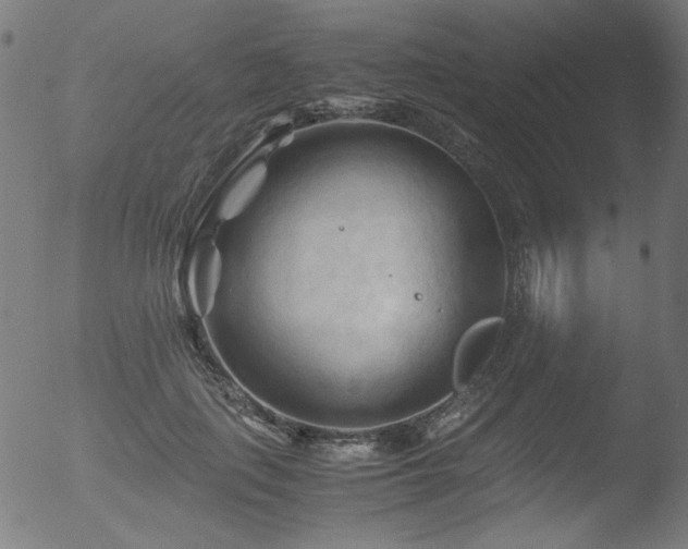 X0000053090651200507111158