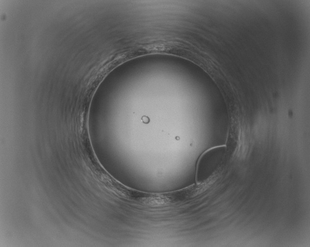 X0000053090652200507111158