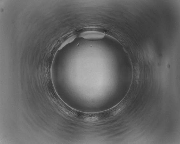 X0000053090653200507111158