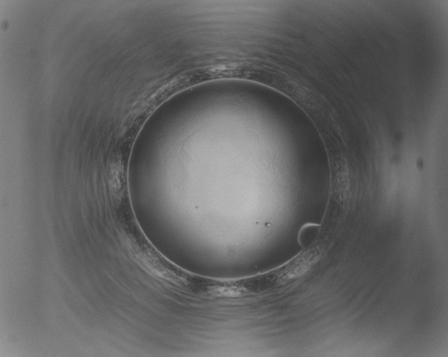 X0000053090654200507111158