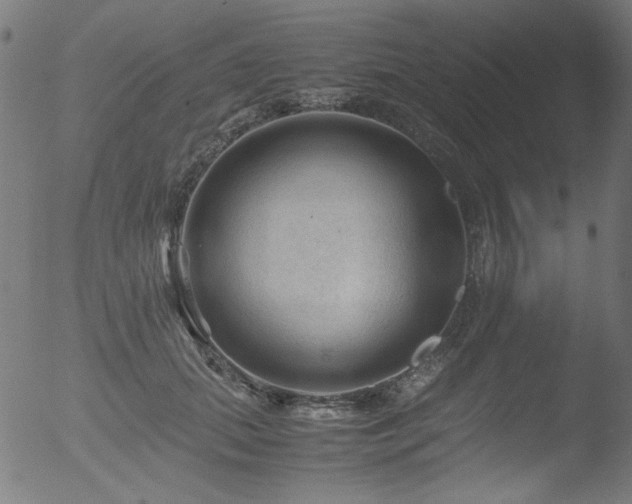 X0000053090655200507111158