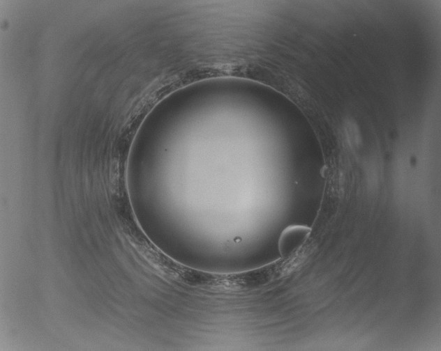 X0000053090656200507111158