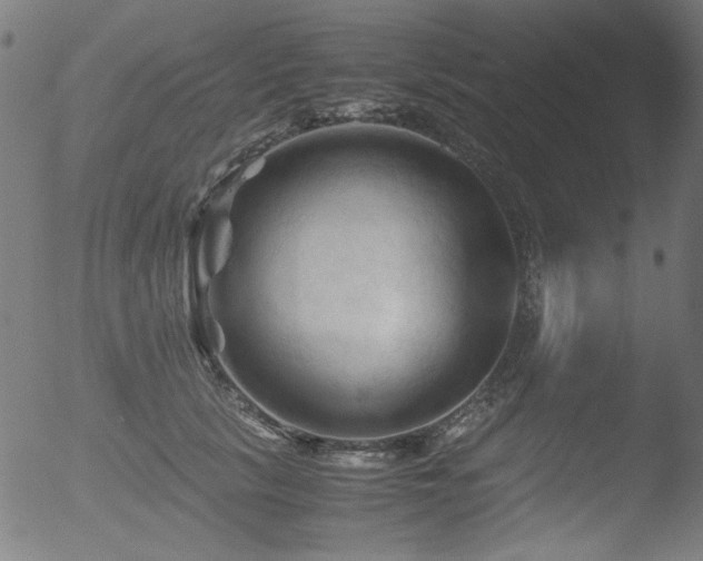 X0000053090657200507111158