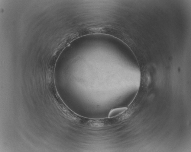 X0000053090658200507111158