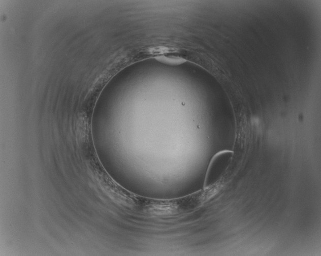 X0000053090659200507111158