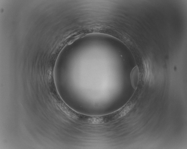 X0000053090660200507111158