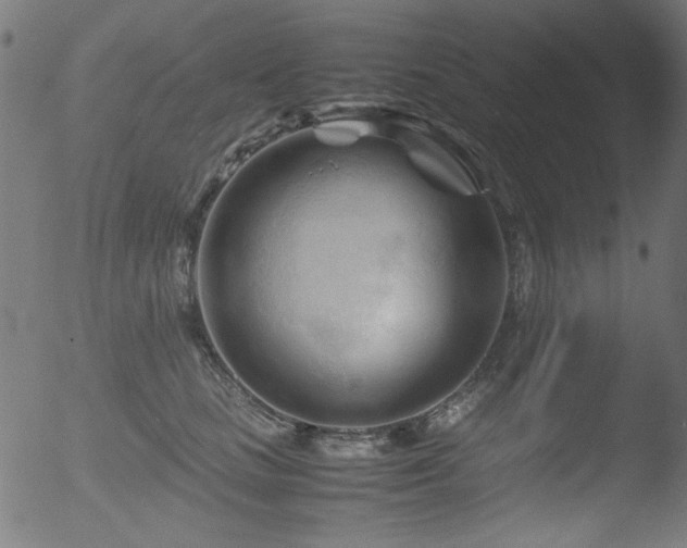 X0000053090661200507111158