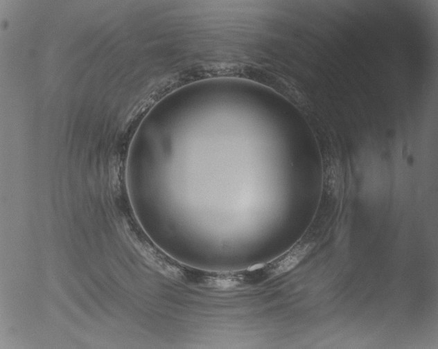 X0000053090662200507111158