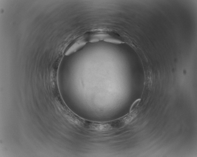 X0000053090663200507111158