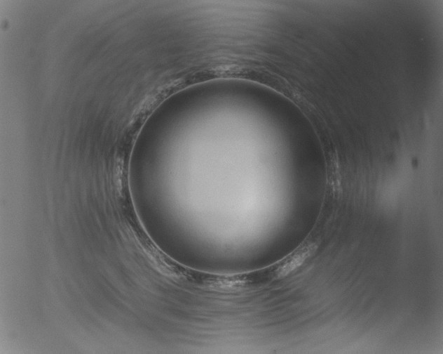 X0000053090664200507111158