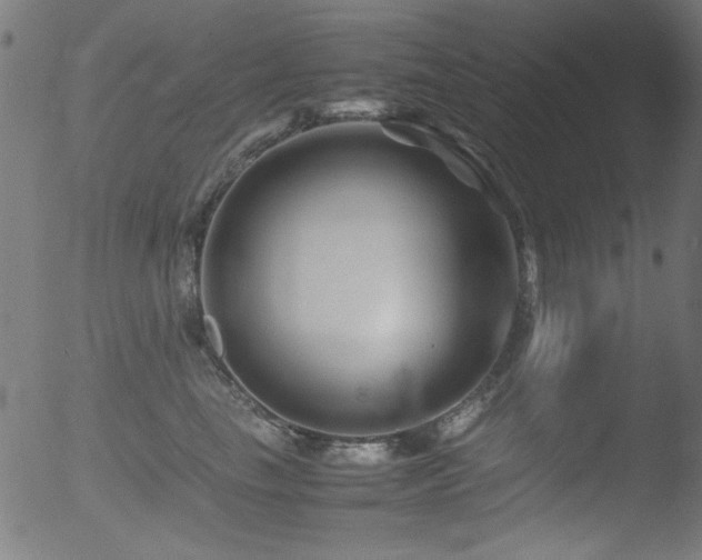 X0000053090665200507111158