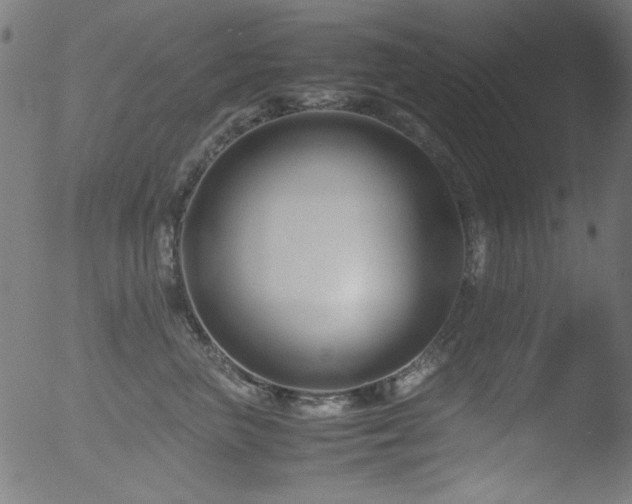 X0000053090667200507111158