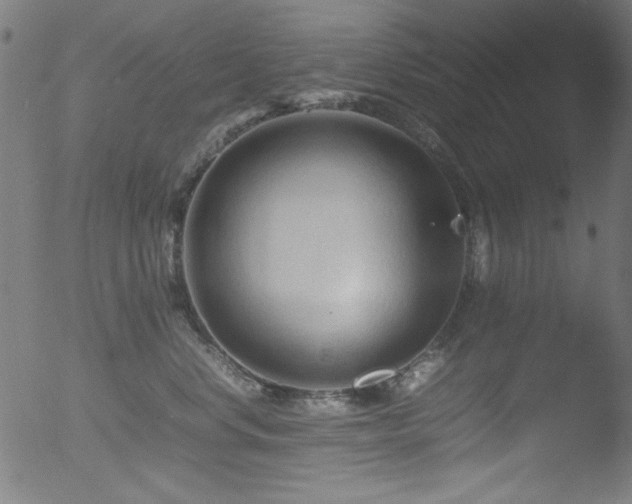 X0000053090668200507111158