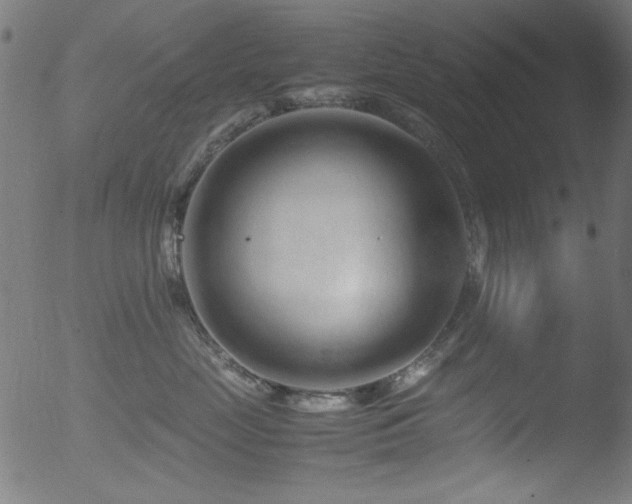 X0000053090669200507111158