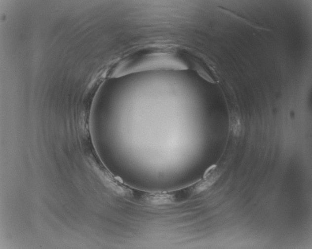 X0000053090670200507111159