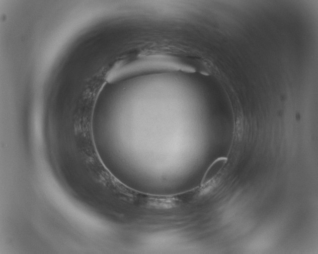 X0000053090671200507111159