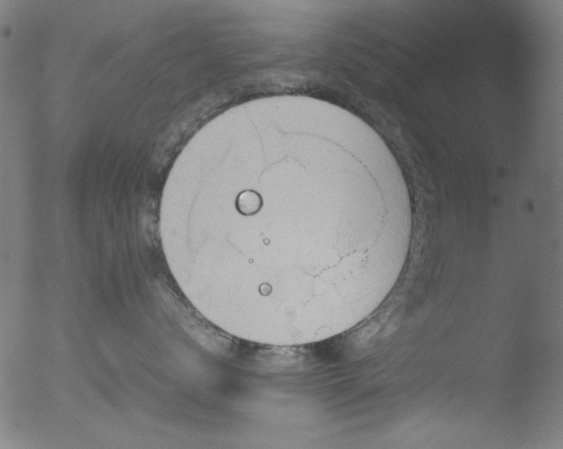 X0000053090672200507111159