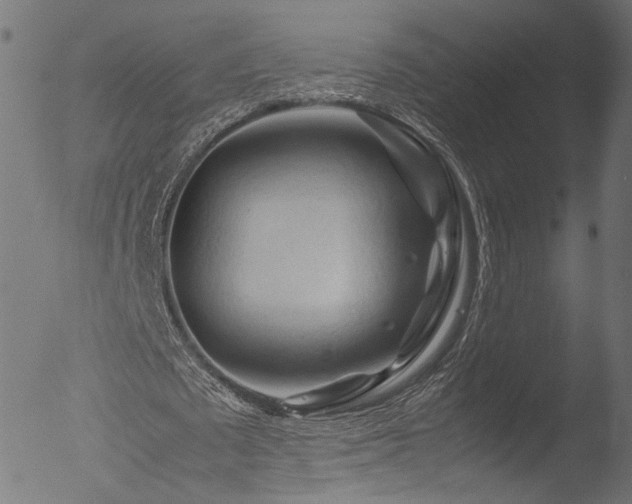 X0000053090673200507111158