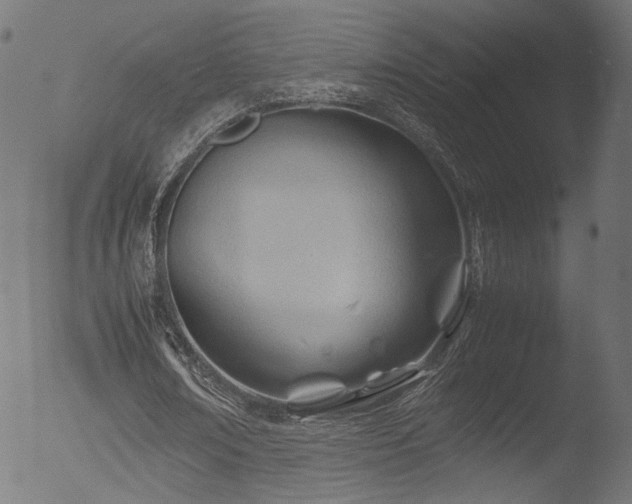 X0000053090674200507111158