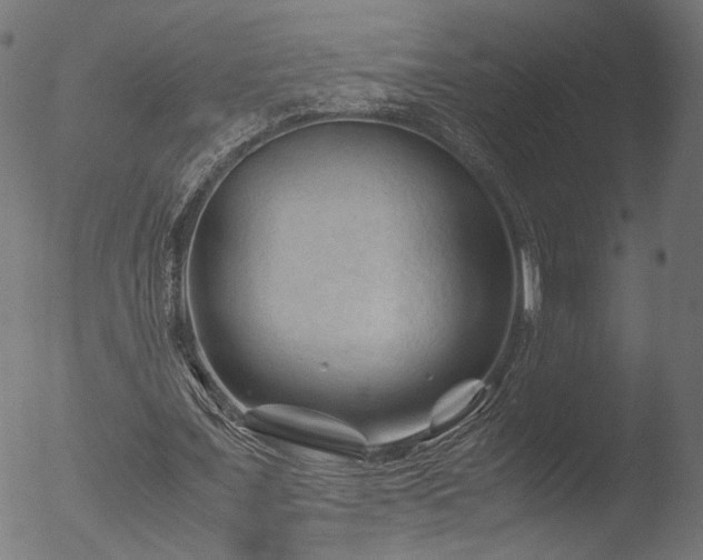 X0000053090675200507111158