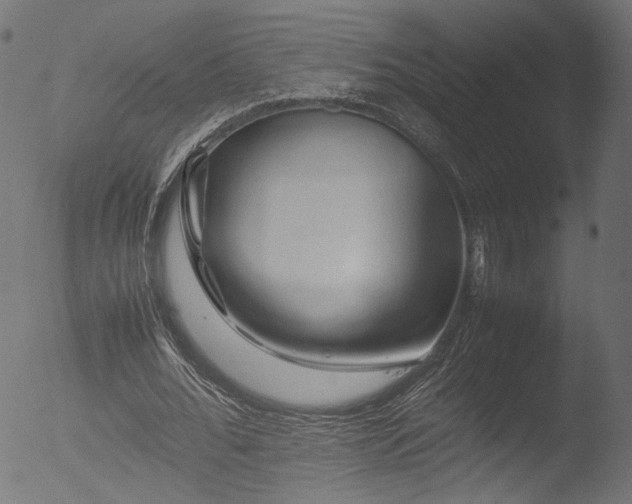 X0000053090676200507111158