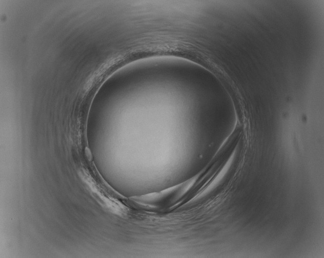 X0000053090677200507111158