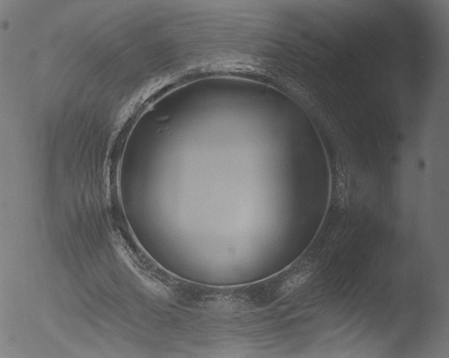 X0000053090678200507111158