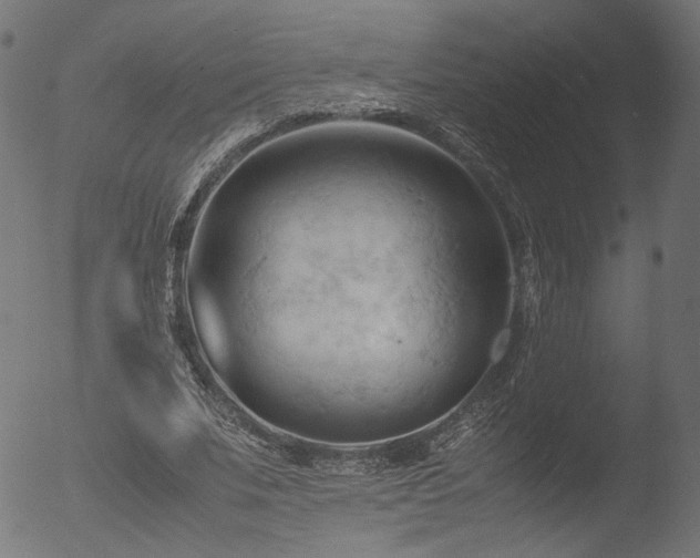 X0000053090679200507111158