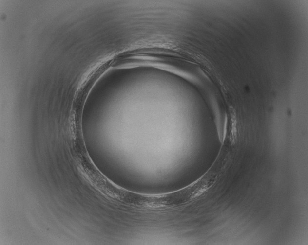 X0000053090680200507111158