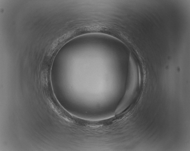 X0000053090681200507111158