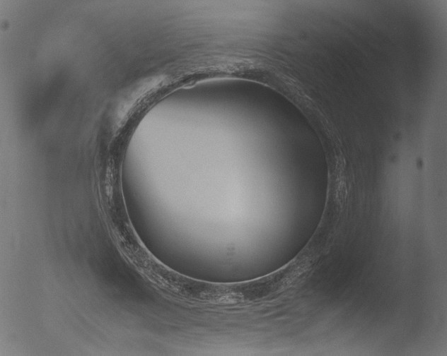 X0000053090683200507111158