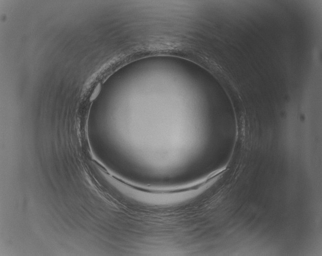 X0000053090684200507111158