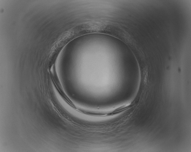 X0000053090685200507111158