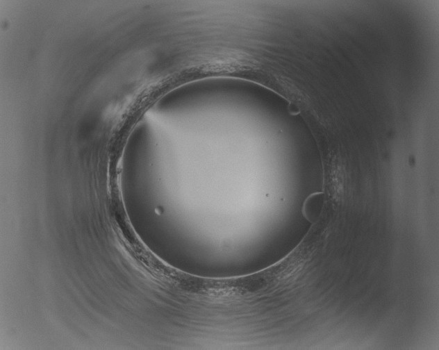 X0000053090686200507111158