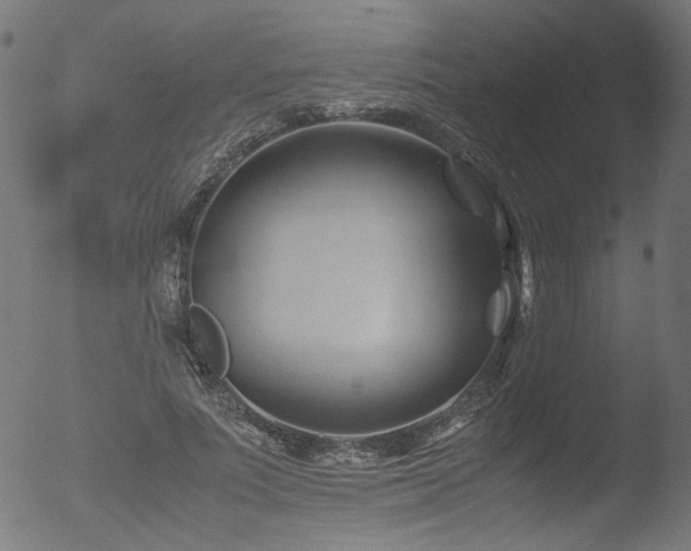 X0000053090691200507111157