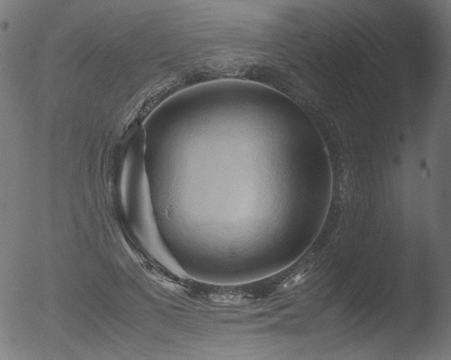 X0000053090693200507111157