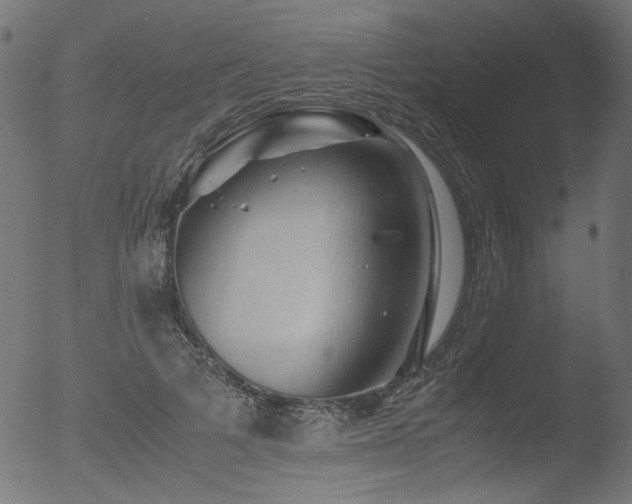 X0000053090697200507111157