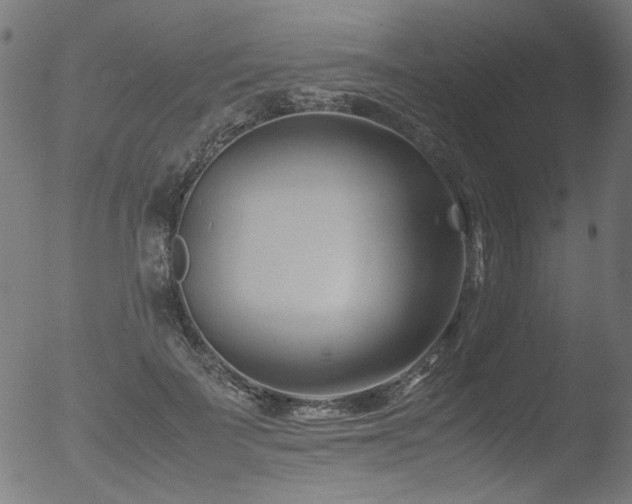 X0000053090699200507111157