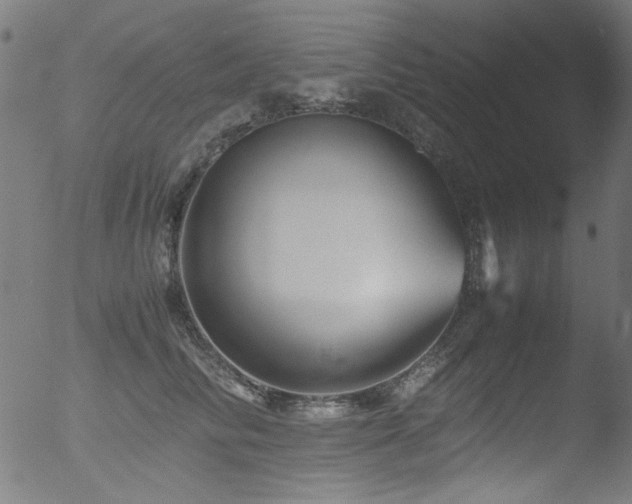 X0000053090710200507111157