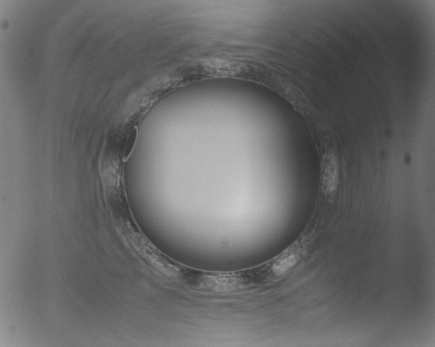 X0000053090713200507111157